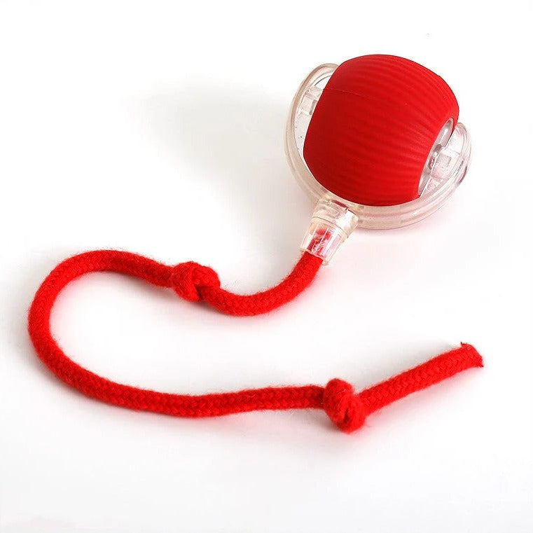 Thermabuild | Active Rolling Ball with Tail for Dogs