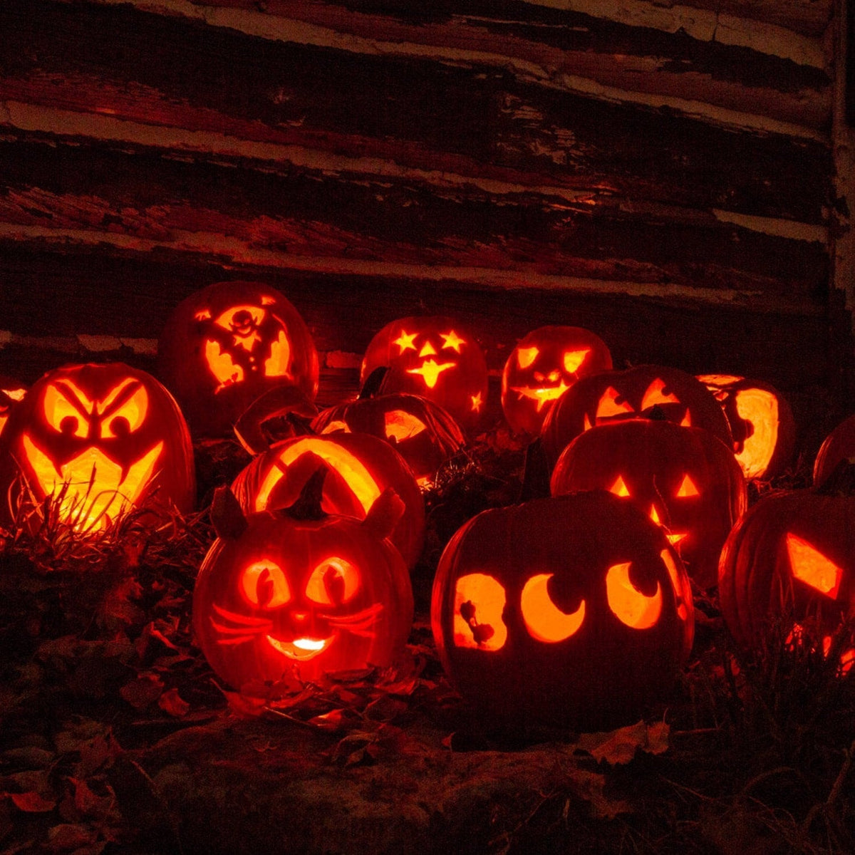 Thermabuild | Kids' Halloween Pumpkin Carving Kit and Tools with Stainless Steel Saws and Sculpting for Supplies