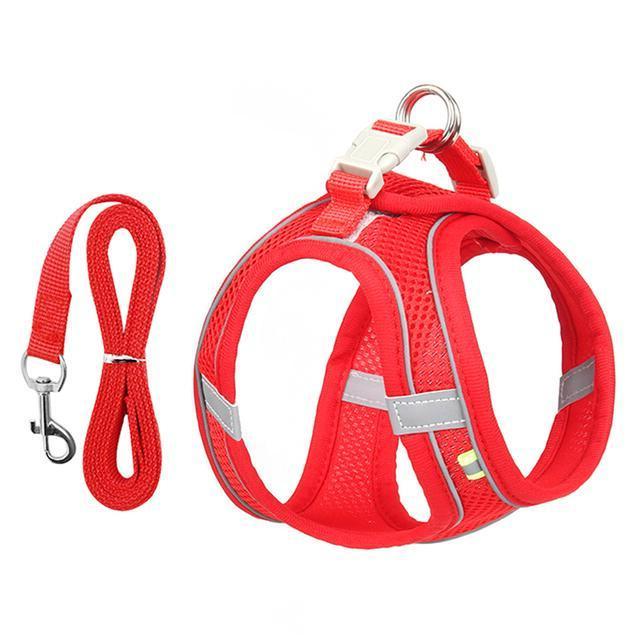 Thermabuild | Adjustable Harness and Leash Set for Small Dogs and Cats