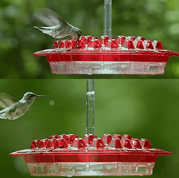 Thermabuild | Ant Proof Hummingbird Feeder Outdoor Hanging Perch