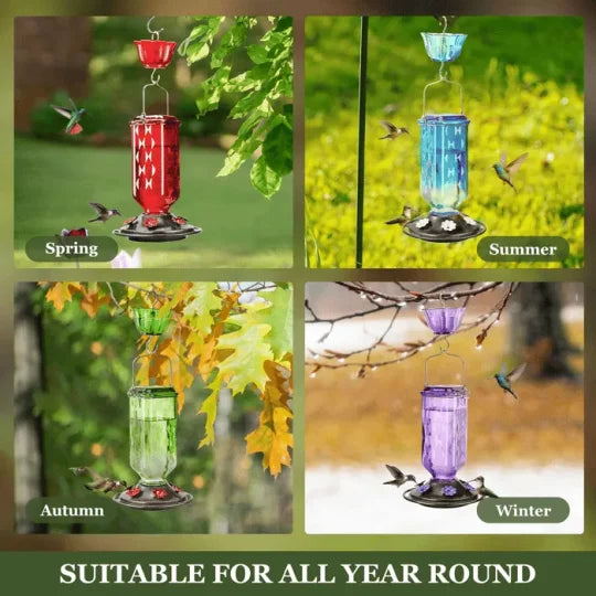 Thermabuild | 24oz Leak Proof Glass Hummingbird Feeder