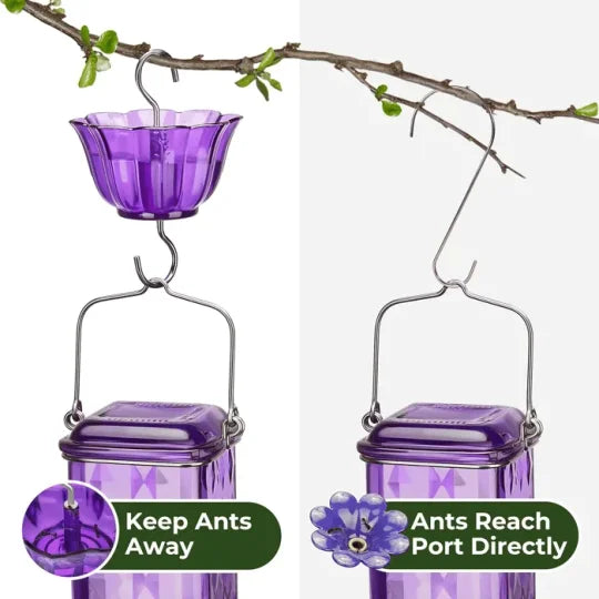 Thermabuild | 24oz Leak Proof Glass Hummingbird Feeder