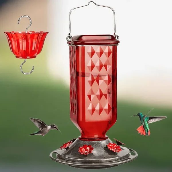 Thermabuild | 24oz Leak Proof Glass Hummingbird Feeder