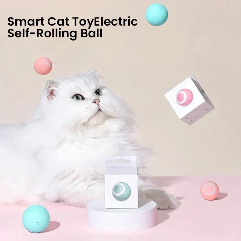 Thermabuild | 2 in 1 Simulated Interactive Hunting Cat Toy