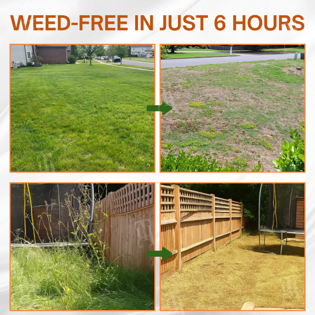 Thermabuild | 2-in-1 Max Power Herbicide