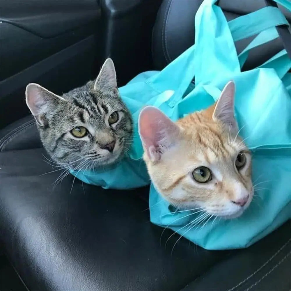 Thermabuild | Anti Scratching Travel Cat Carrier Pouch