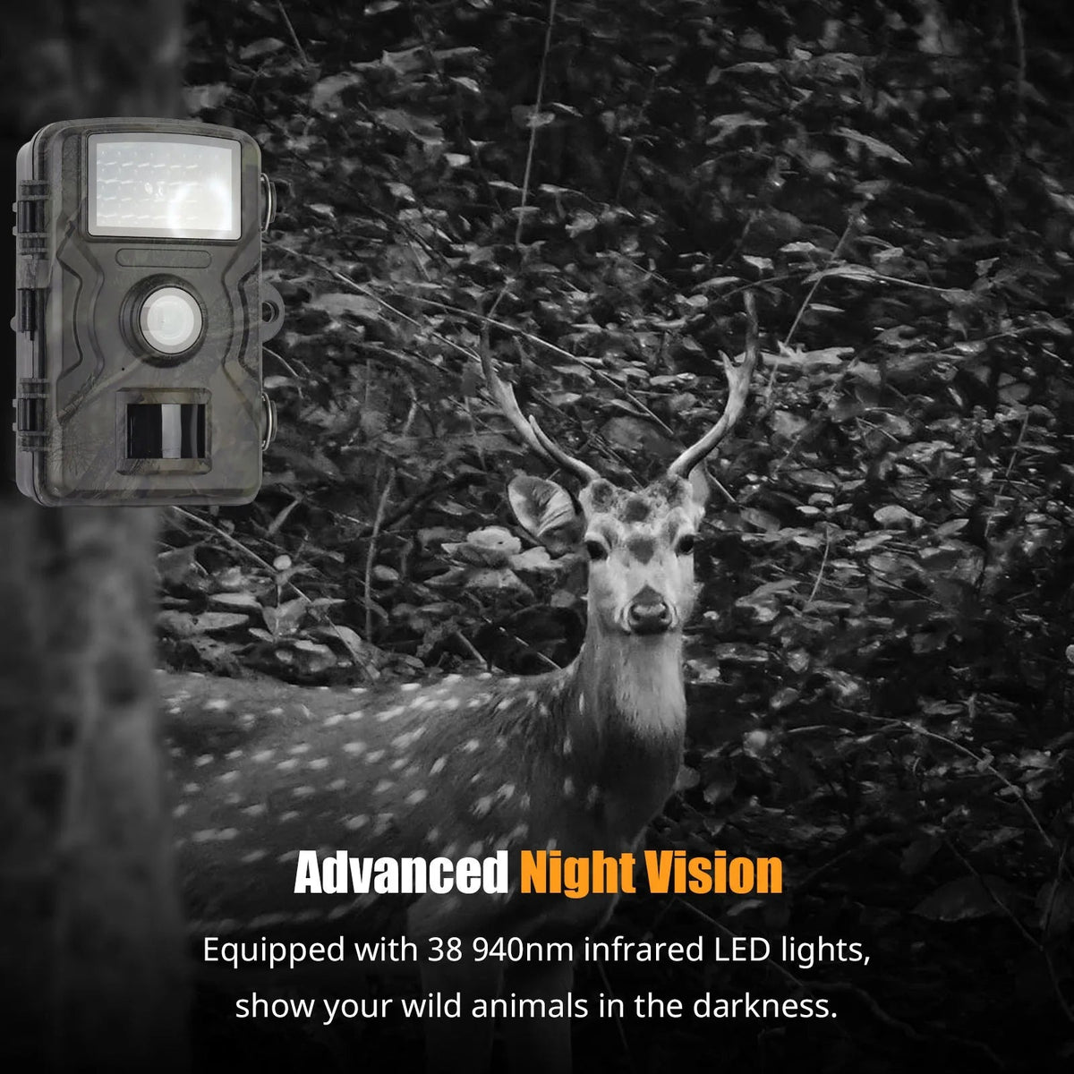 Thermabuild | 1080P Night Vision Trail Camera