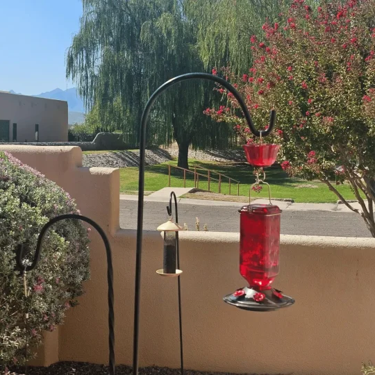 Thermabuild | 24oz Leak Proof Glass Hummingbird Feeder