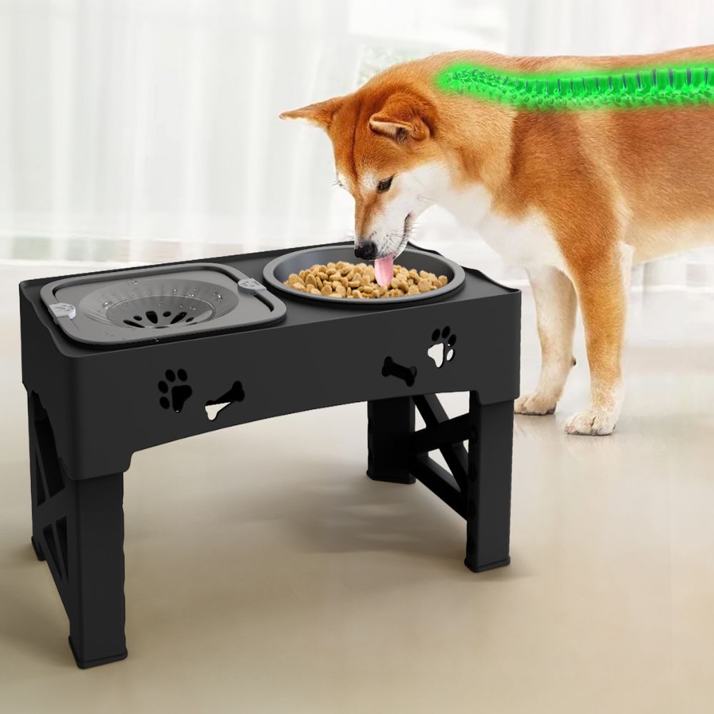 Thermabuild | Adjustable Raised Pet Dog Slow Feeder