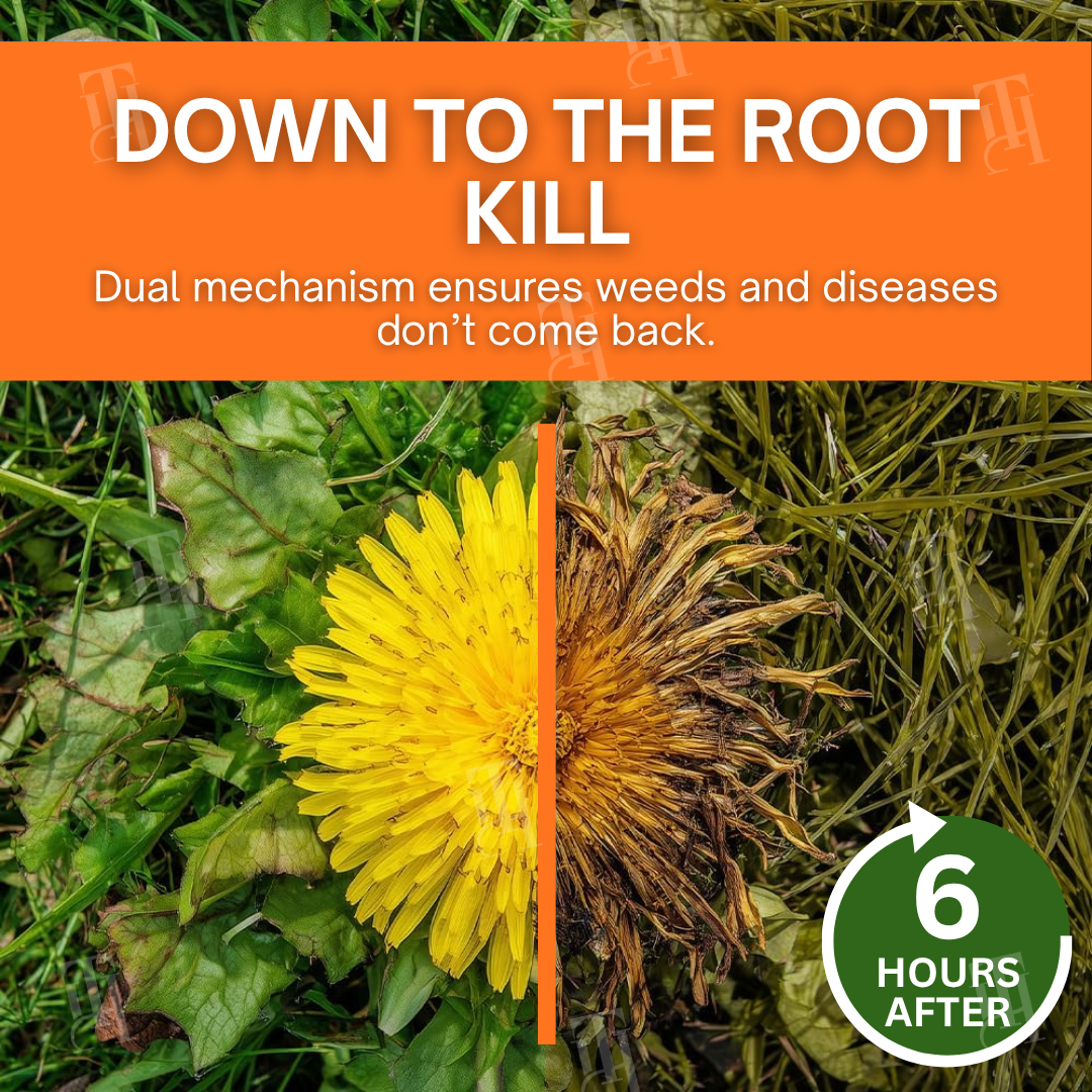 Thermabuild | 2-in-1 Max Power Herbicide