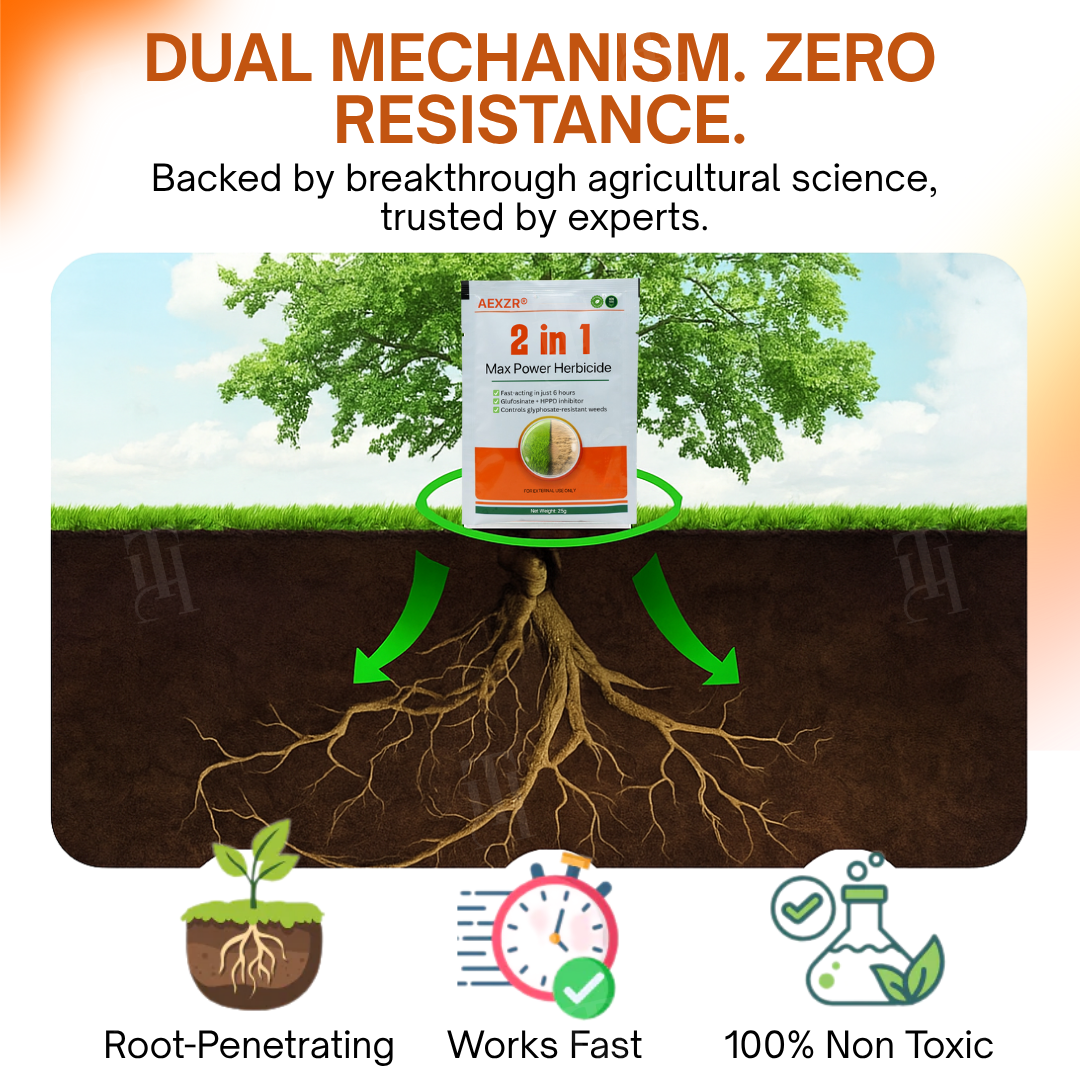 Thermabuild | 2-in-1 Max Power Herbicide