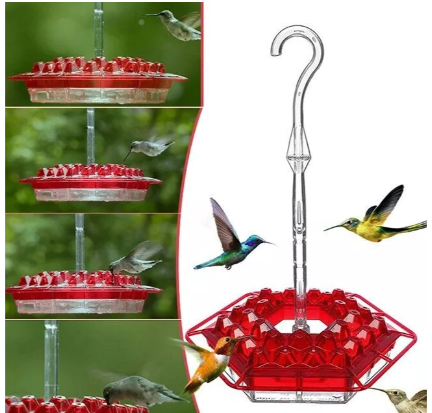 Thermabuild | Ant Proof Hummingbird Feeder Outdoor Hanging Perch