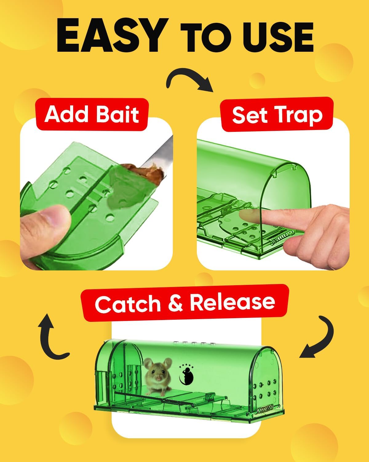 Thermabuild | 4-Pack Mouse Trap