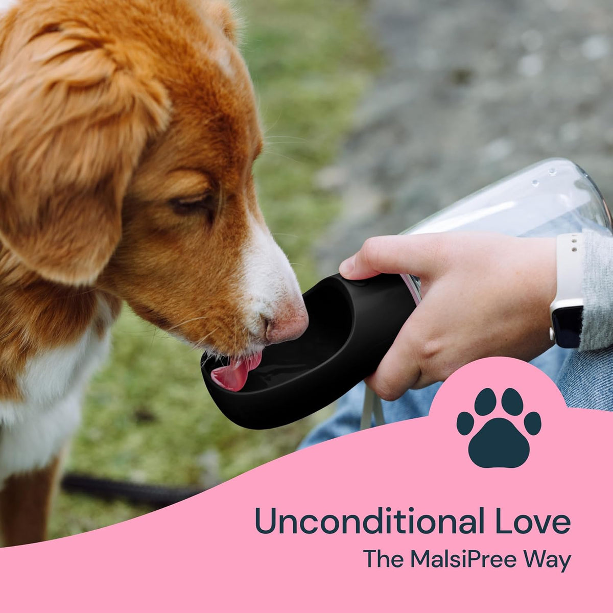 Thermabuild | 19 oz portable water bottle for dogs