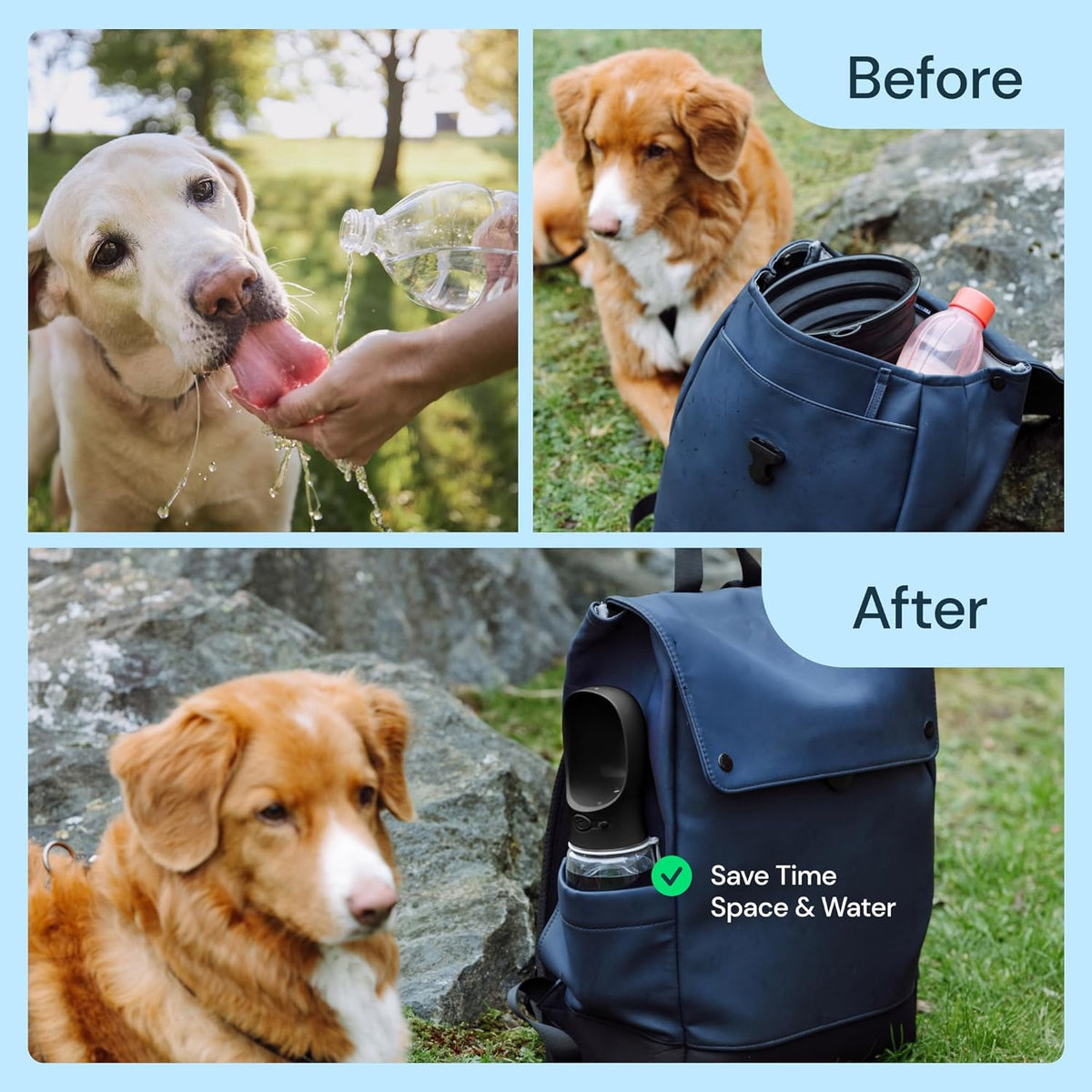 Thermabuild | 19 oz portable water bottle for dogs