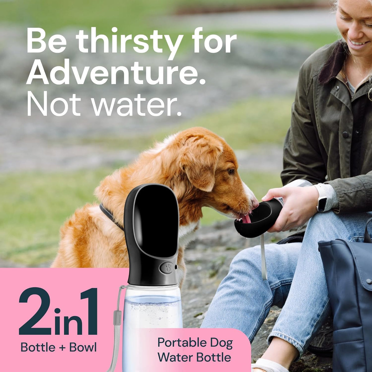 Thermabuild | 19 oz portable water bottle for dogs