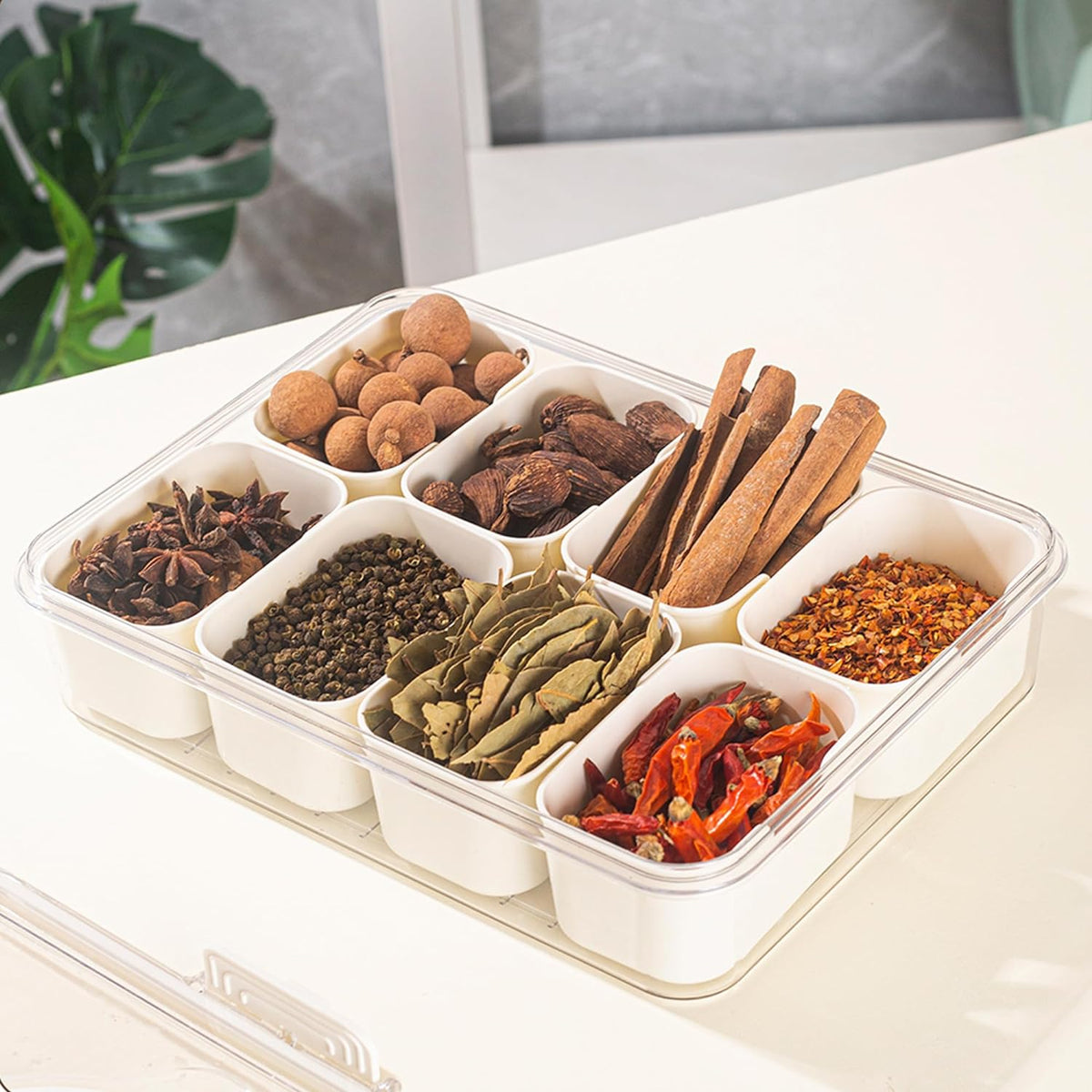 Thermabuild | 8 Compartments divided serving tray with Handle