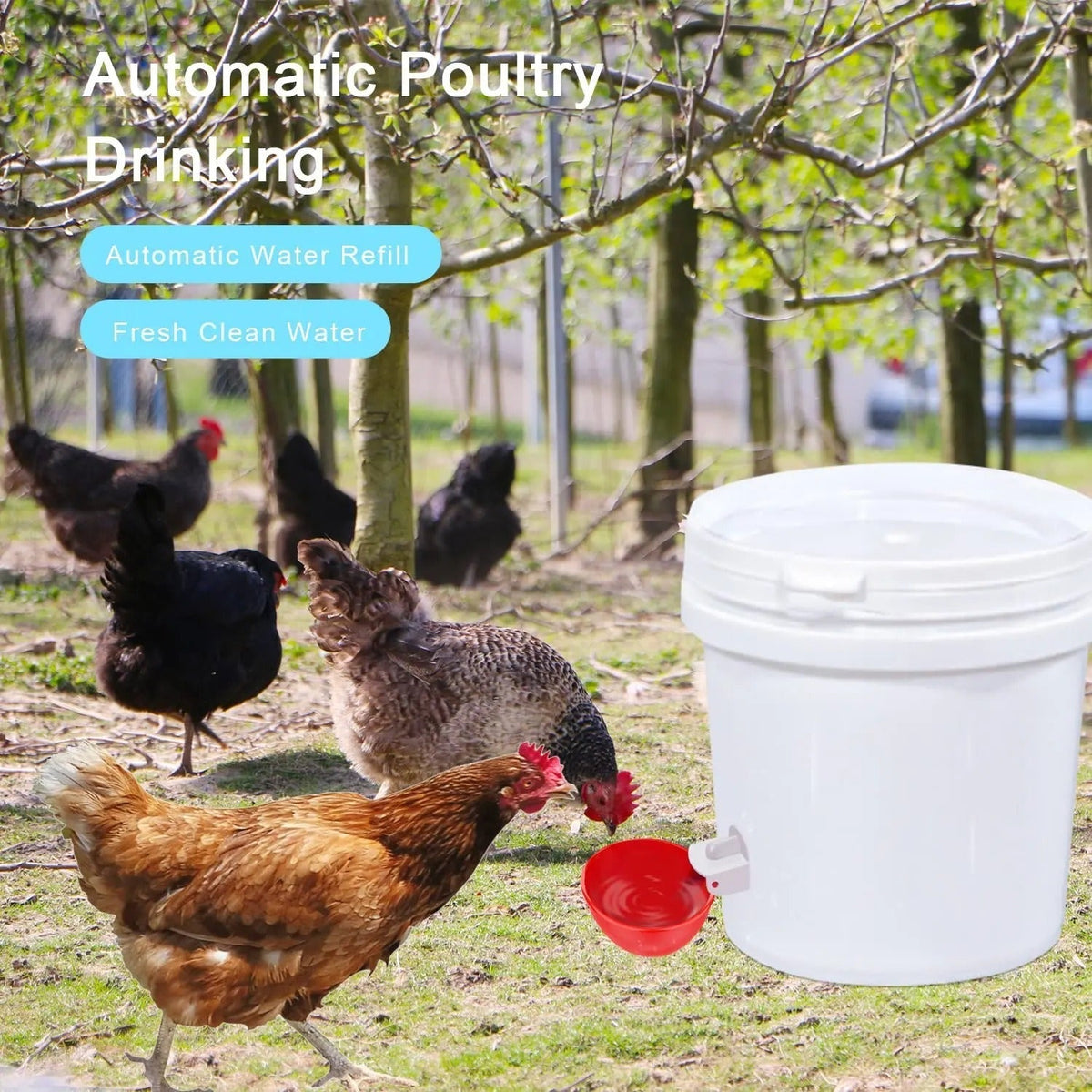 Thermabuild | 10 Pcs Chicken Waterer
