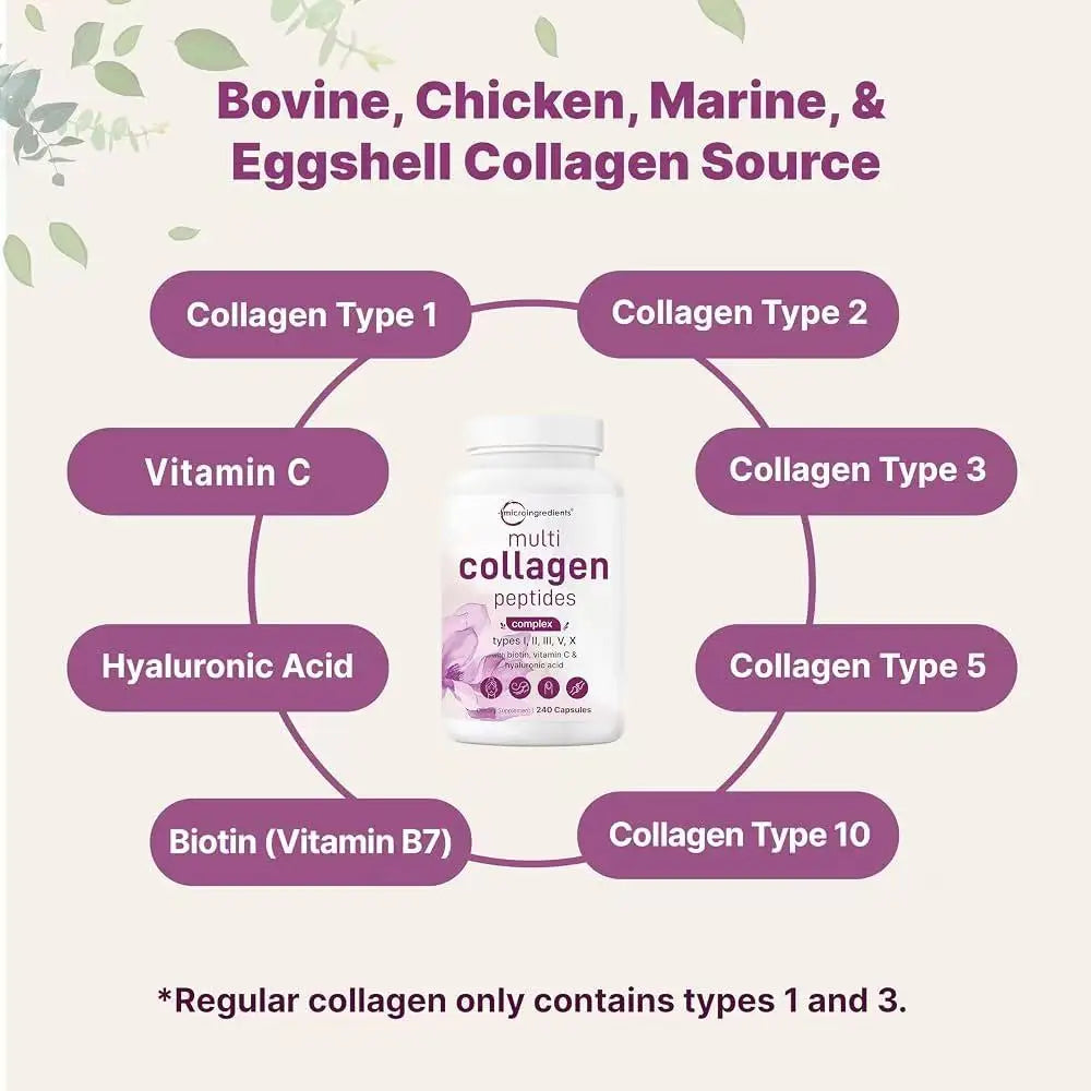 Thermabuild | Multi Collagen Peptides 240 Capsules – Type I, II, III, V and X with Biotin, Hyaluronic Acid and Vitamin C