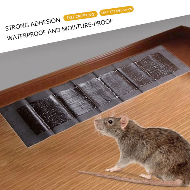 Thermabuild | 5 Extra-Large Glue Pads For Mice And Rats