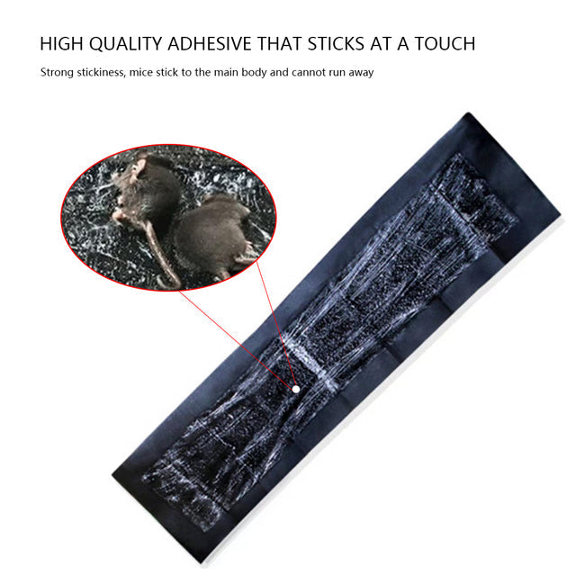 Thermabuild | 5 Extra-Large Glue Pads For Mice And Rats