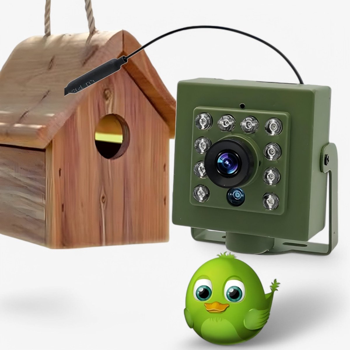Thermabuild | 1080p HD weatherproof wildlife camera with night vision, motion detection, and remote access