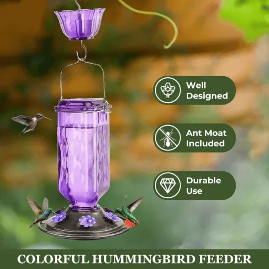 Thermabuild | 24oz Leak Proof Glass Hummingbird Feeder