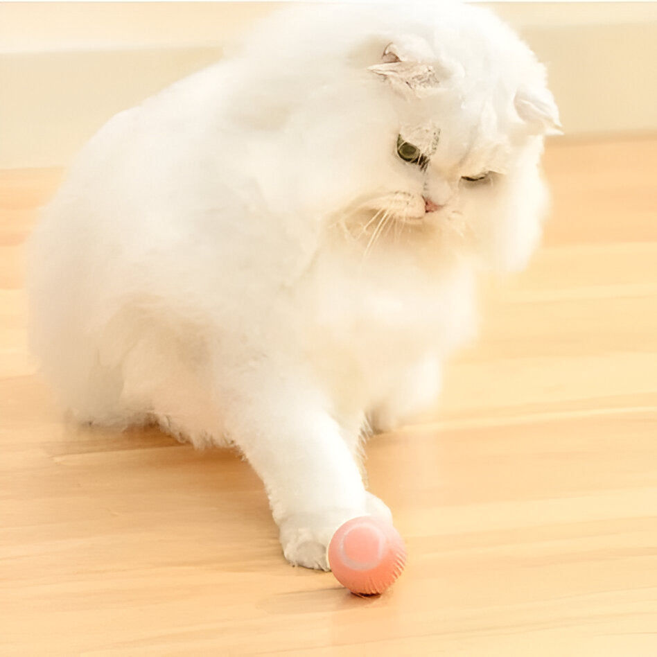 Thermabuild | 2 in 1 Simulated Interactive Hunting Cat Toy
