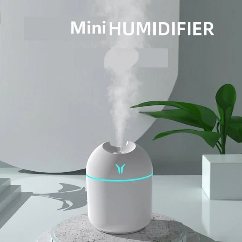 Thermabuild | USB Mini Humidifier with Aromatherapy Function