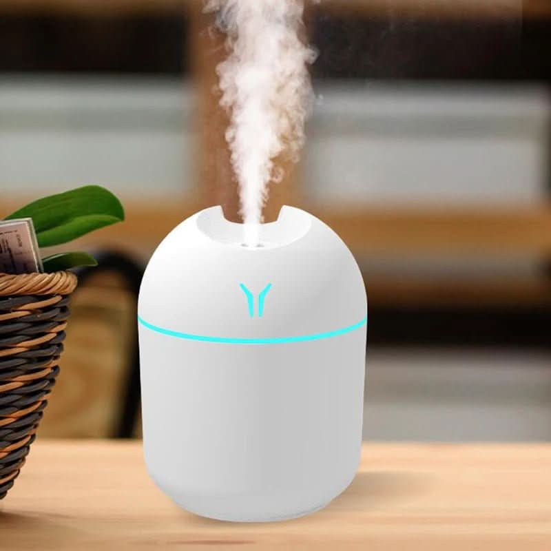 Thermabuild | USB Mini Humidifier with Aromatherapy Function