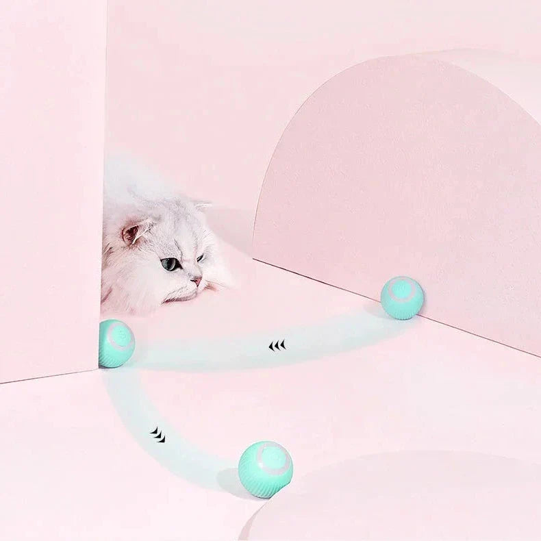 Thermabuild | 2 in 1 Simulated Interactive Hunting Cat Toy