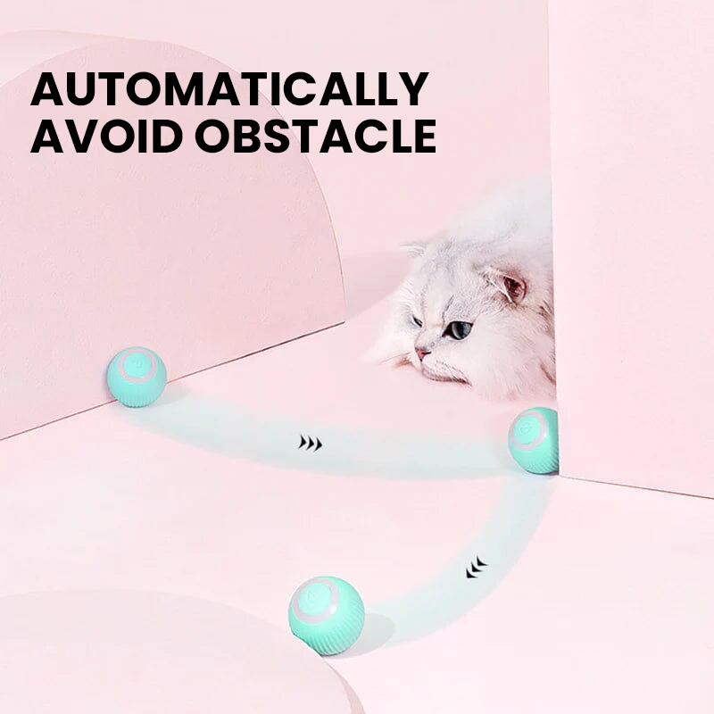 Thermabuild | 2 in 1 Simulated Interactive Hunting Cat Toy