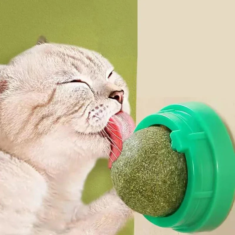 Thermabuild | 4 Pcs Premium Catnip Ball