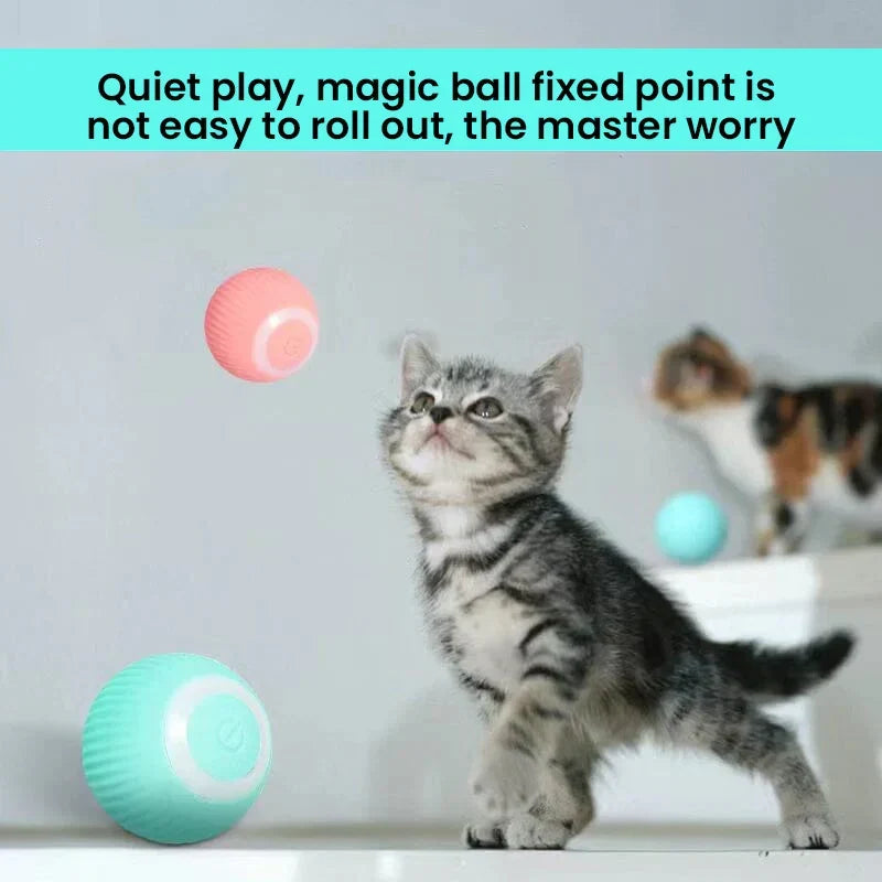 Thermabuild | 2 in 1 Simulated Interactive Hunting Cat Toy