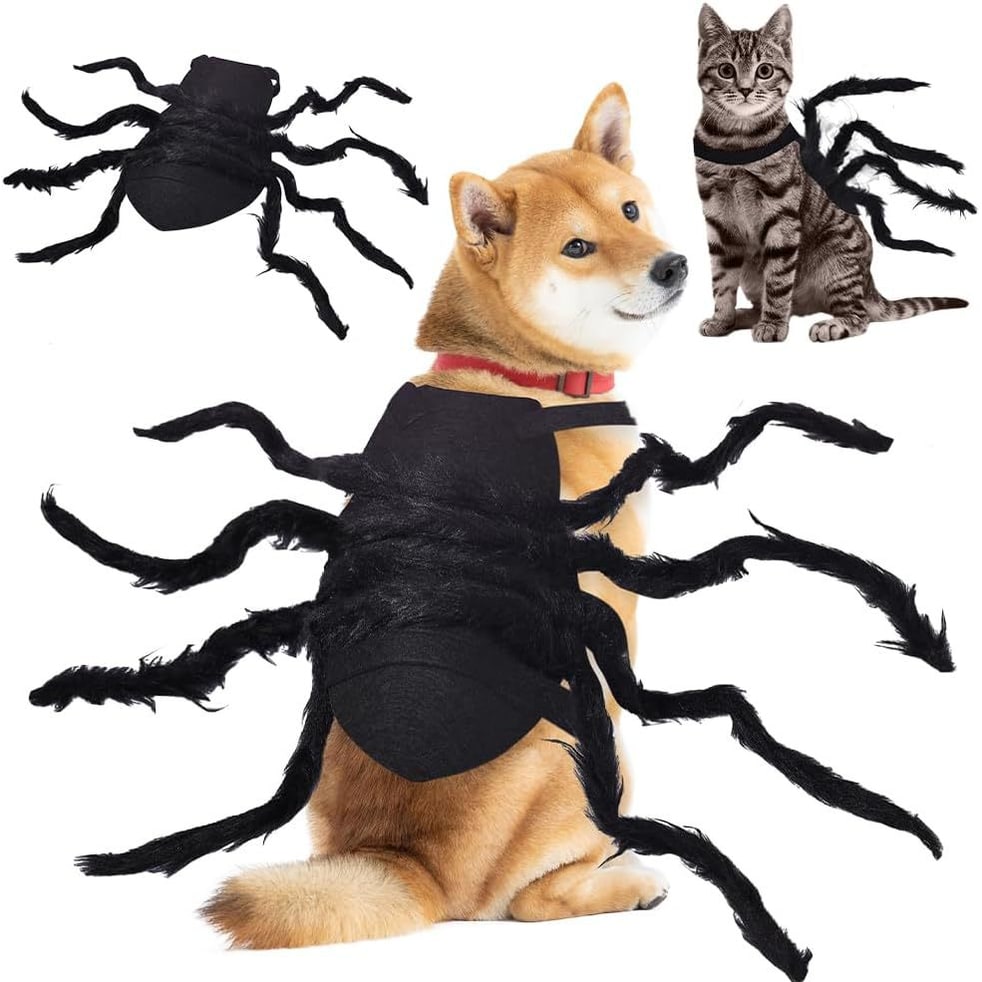 Thermabuild | Dog Halloween Spider Costume with Adjustable Straps