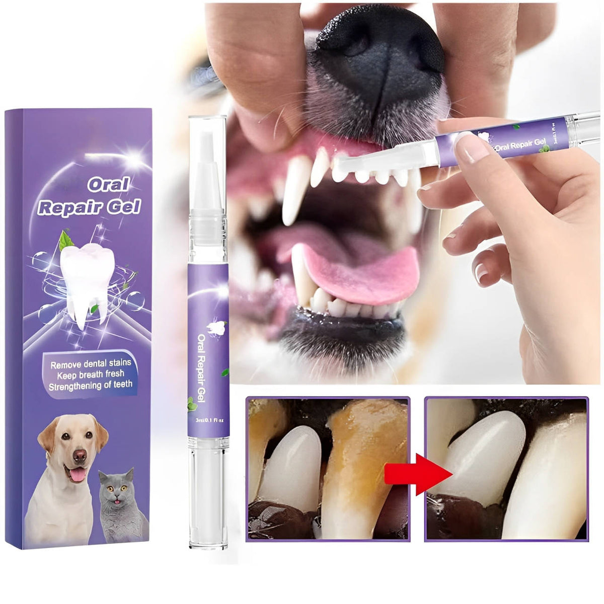 Thermabuild | 3 Set Dog Oral Repair Gel