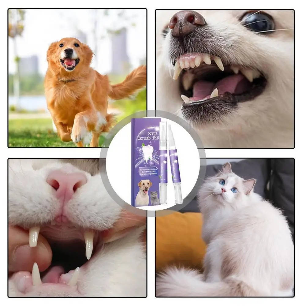 Thermabuild | 3 Set Dog Oral Repair Gel