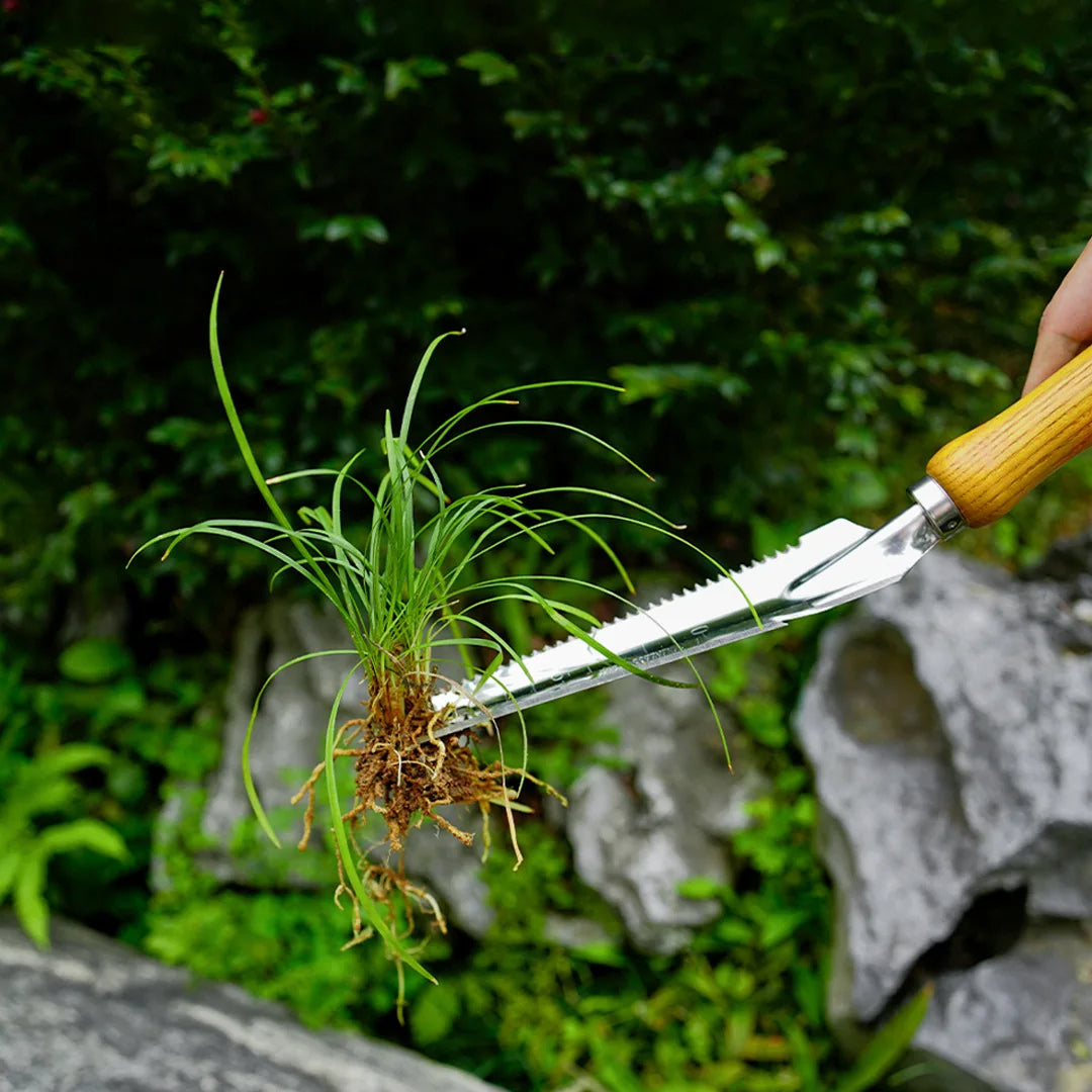 Thermabuild | 5-in-1 Stainless Steel Weed Puller Tool with Beech Handle