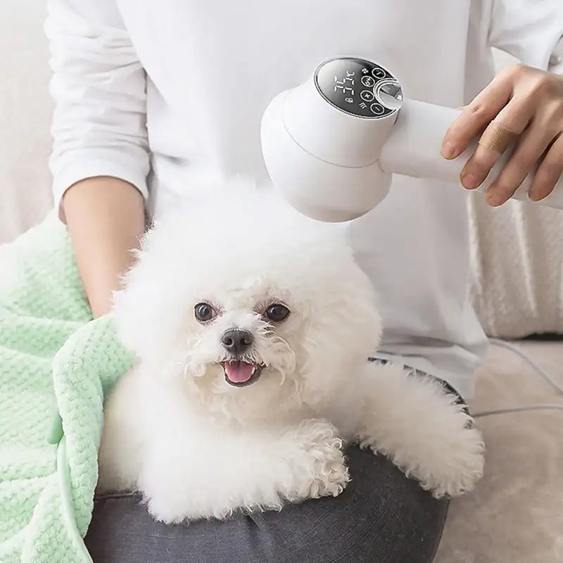 Thermabuild | 2 in 1 Smart Dog Hair Dryer