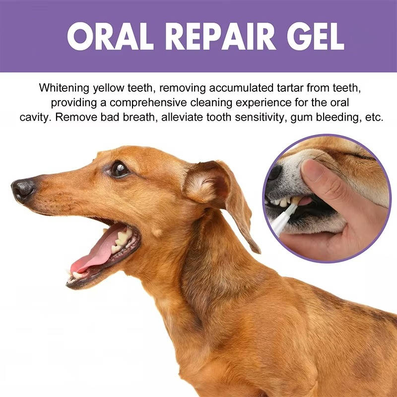 Thermabuild | 3 Set Dog Oral Repair Gel