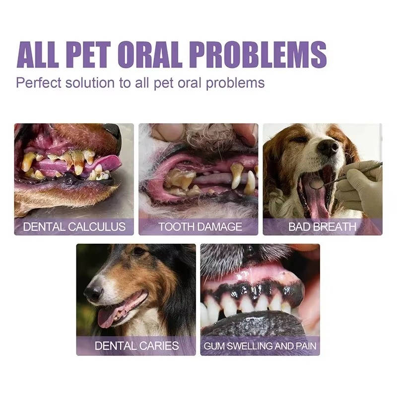 Thermabuild | 3 Set Dog Oral Repair Gel
