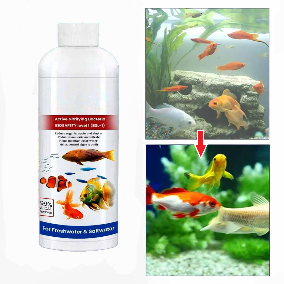Thermabuild | 3 Pack Fish Tank Cleaner Liquid