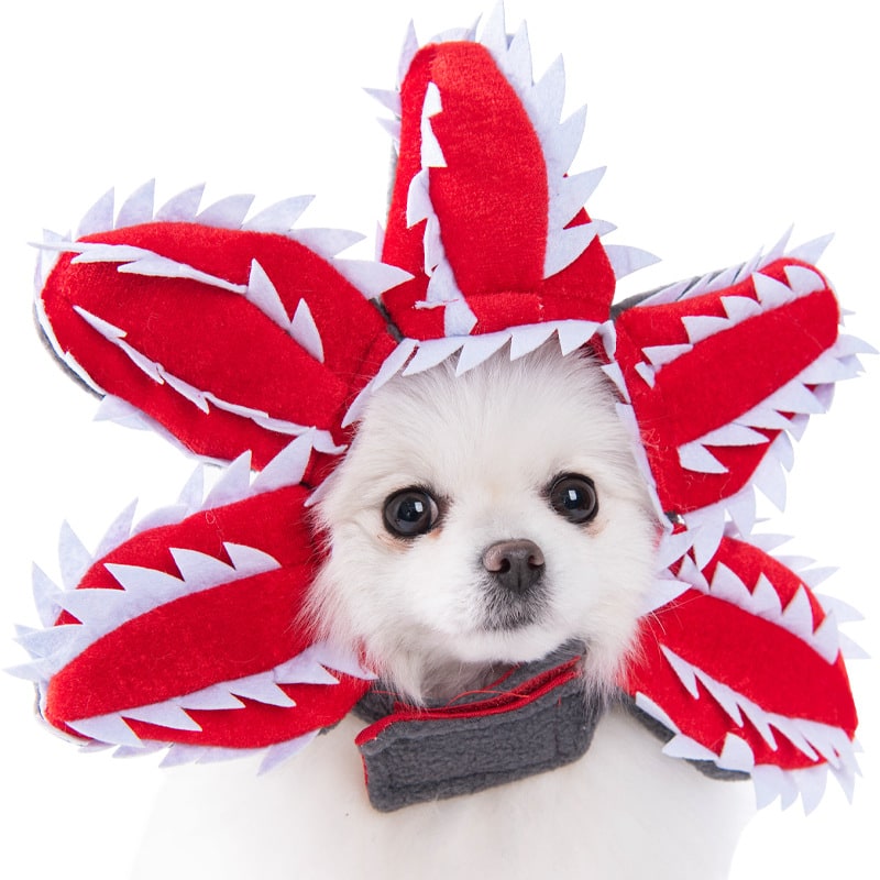 Thermabuild | Funny Dog Costume with Novelty Holiday Designs and Adjustable Closures Halloween