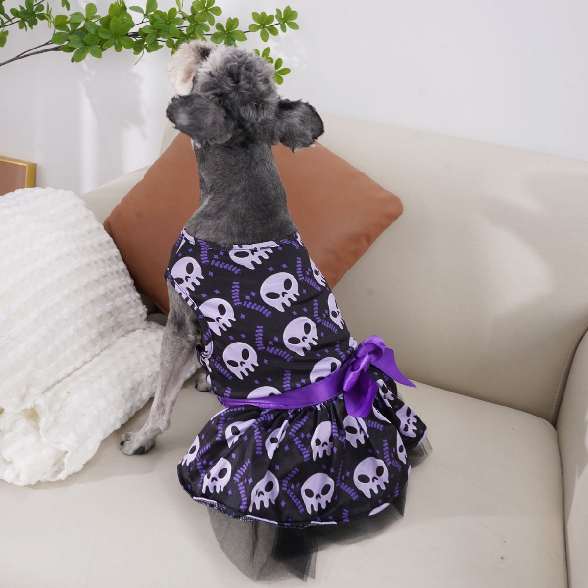 Thermabuild | Halloween Dog Costume Dress with Tutu Skirt Satin Bow and Outfits for Pet Apparel