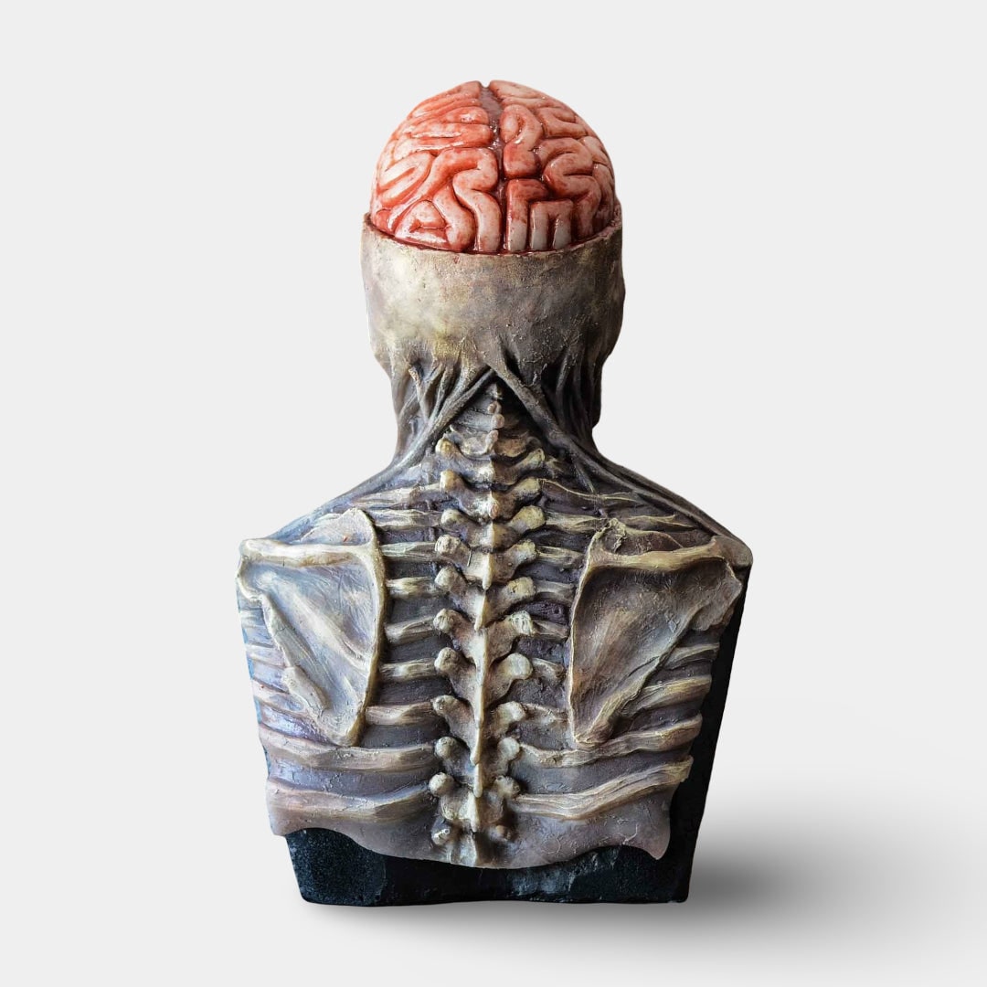 Thermabuild | Halloween Skeleton Bust Garage Door Cover with Exposed Brain Detail for Spooky Party Decoration