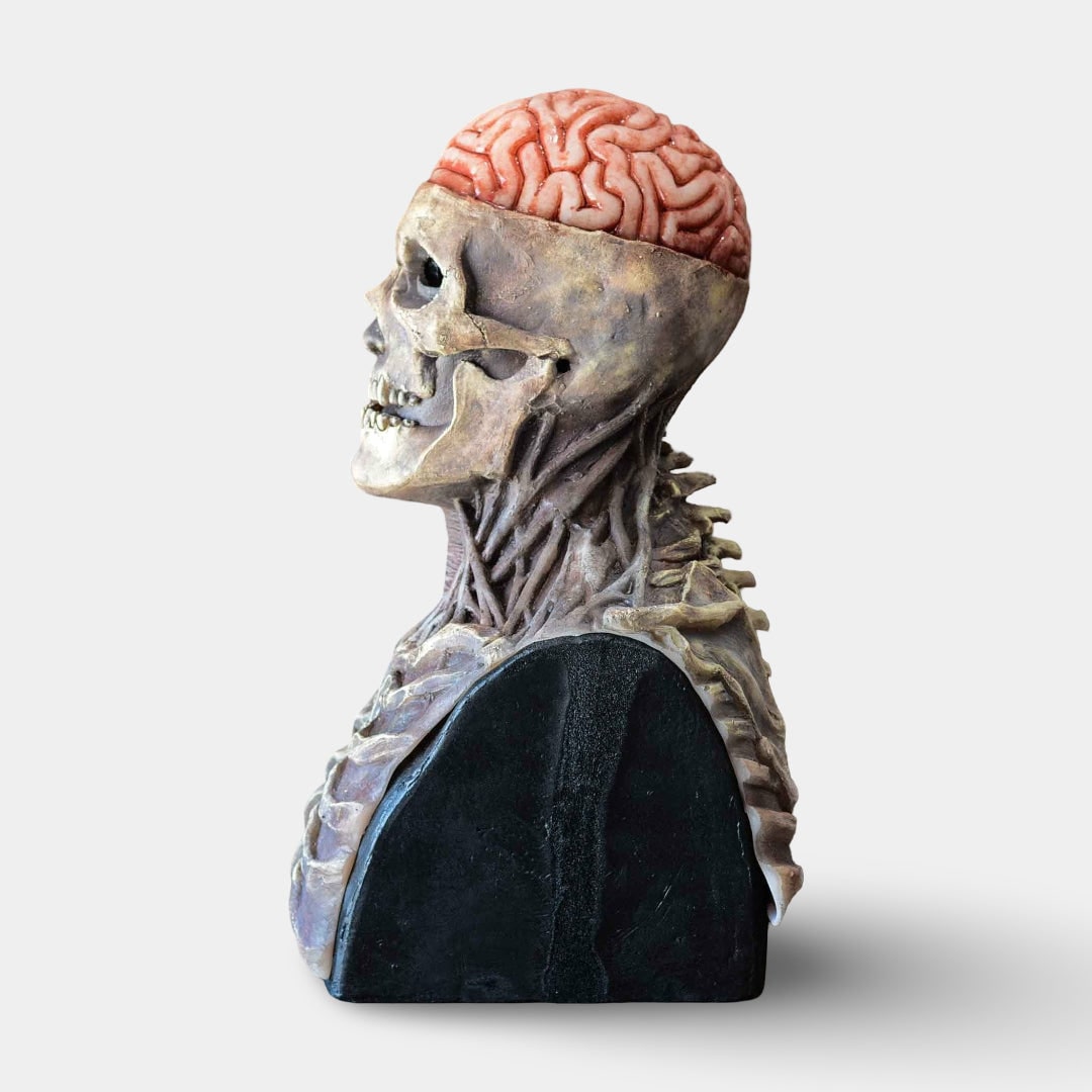 Thermabuild | Halloween Skeleton Bust Garage Door Cover with Exposed Brain Detail for Spooky Party Decoration