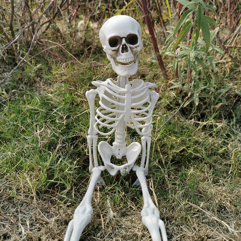 Thermabuild | Halloween Skeleton Decoration and Garage Door Cover Posable Plastic Prop 12 Foot Tall