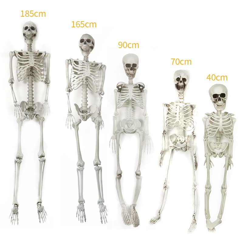 Thermabuild | Halloween Skeleton Decoration and Garage Door Cover Posable Plastic Prop 12 Foot Tall