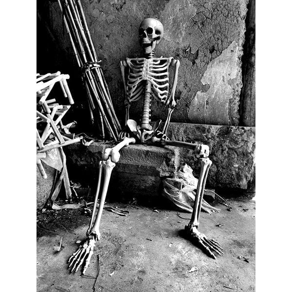 Thermabuild | Halloween Skeleton Decoration and Garage Door Cover Posable Plastic Prop 12 Foot Tall
