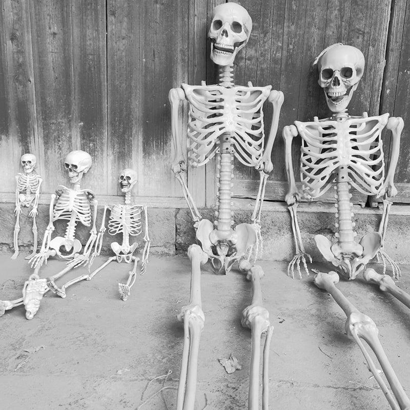 Thermabuild | Halloween Skeleton Decoration and Garage Door Cover Posable Plastic Prop 12 Foot Tall